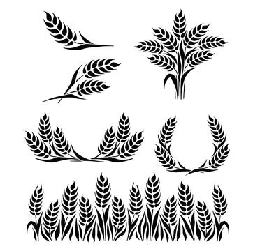 Black abstract wheat ears hand drawn set. Vector illustration Stock Illustration