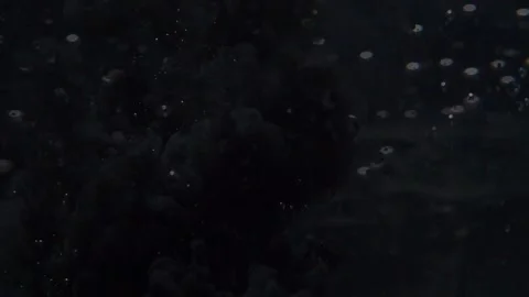Black Acrylic Paint Sprayed Underwater Stock Footage 155470758