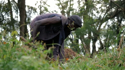 Black African Man digging the ground. Slow Motion. Uganda. Stock Footage 194529913