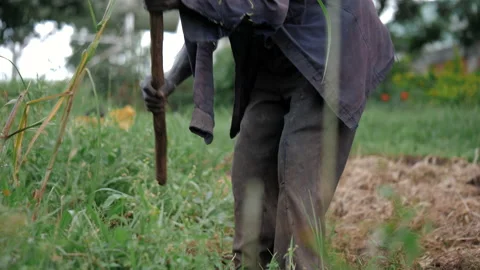 Black African Man Digging The Ground. Uganda. Stock Footage 194530099
