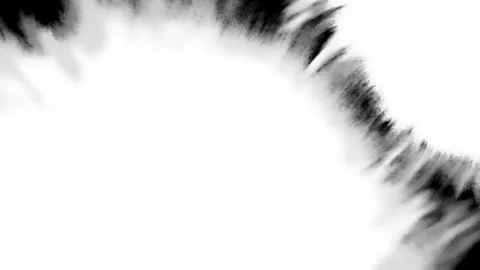 Black &amp;amp; White Ink Matte Transitions 7 Stockbeeldmateriaal 329687988