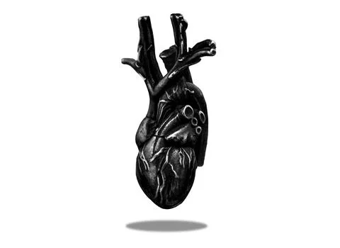 Black Anatomical Heart Model with Shadow on White Background Stock Illustration