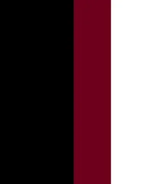 Black and deep red vertical stripes on clean white background 库存插图