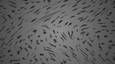Black and gray abstract texture backgrounds. Vidéo 334863848