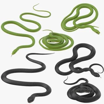 Cartoon snakes in various poses. Anaconda mascot, cute snake