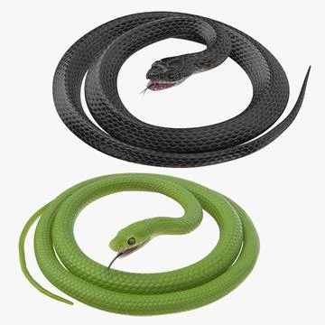 Black and Green Snakes Rigged 3D Model