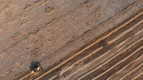 Black and orange mover makes parallel wheat and rye rolls Stock-Footage 116767791