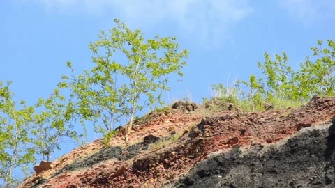 Black and Red Coal Mine Spoil Tip Close Up Industrial Mining Landscape Stock Footage 340273496