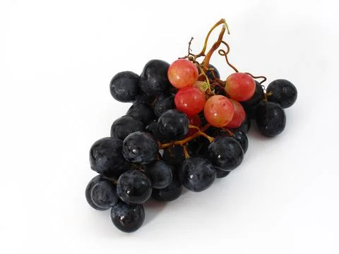 Black and red grape Stock Photos