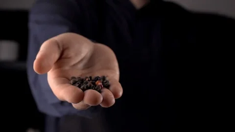 Black and red pepper falling from man's hand on dark background, cooking in slow Video stock 115051967