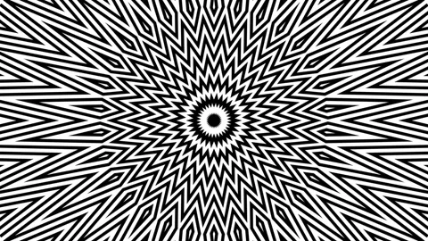 Black and white abstract background. Black and white background. Black-white Stock Footage 211110850
