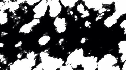 Black and white abstract background Stock Footage 302337151
