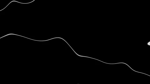 Black and white abstract background Stock Footage 302337178