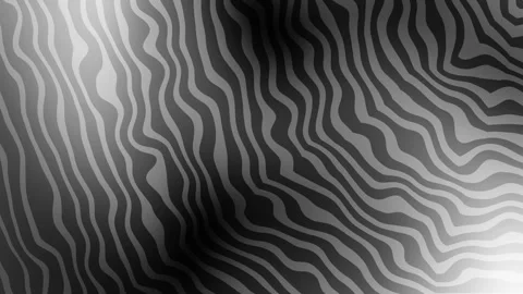 Black and white abstract background with wavy stripes. Stock Footage 308949896