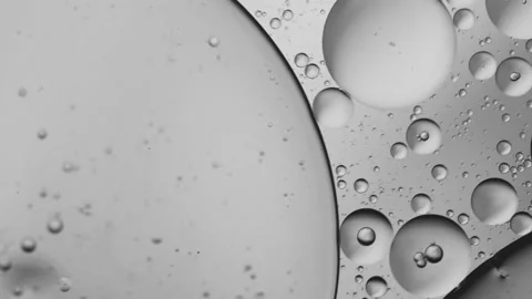 Black and white abstract bubbles in 4K Video stock 155113334