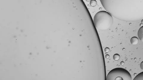 Black and white abstract bubbles Video stock 155113351