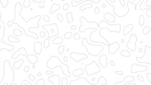 Black and White Abstract Line Art Topographic Contour Background Video stock 344371656
