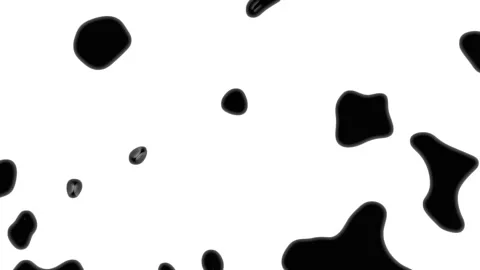 Black and white abstract organic shapes moving with grunge texture and clea.. Stock Footage 341688934