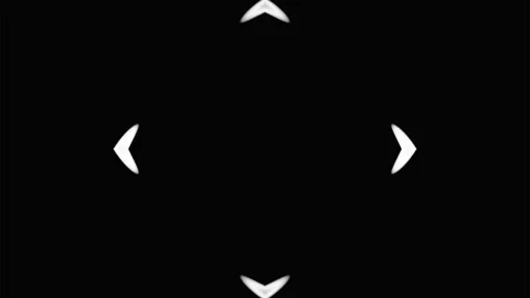Black and white abstract ornament of animated circles, rays and lines. Pulsating Stock Footage 247683075
