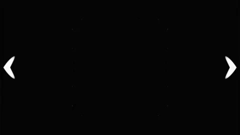 Black and white abstract ornament of animated circles, rays and lines. Pulsating Stock Footage 247683098