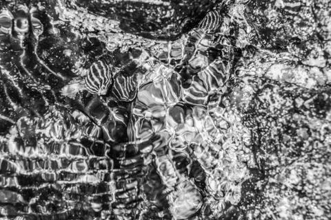 Black and white abstract pattern, ocean theme Stock Photos