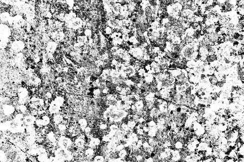 The black and white abstract texture of the moldy, weathered, aged and cracke Stock Illustration