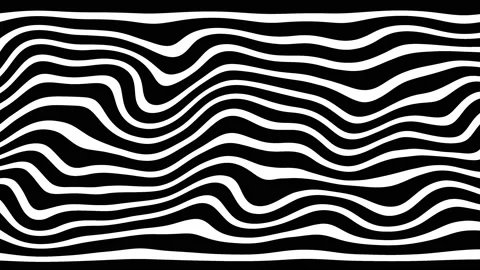 Black and white abstract waves on white background - surface made of lines Stock Footage 149049855