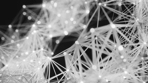 Black and white Animated geometry plexus on a dark background with glowing .. Stock Footage 253607760