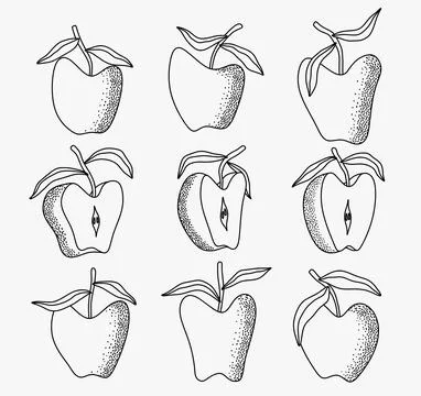 Black and white apple set using doodle art or hand drawing style Stock Illustration