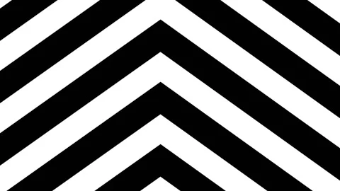 Black and white background. Black and white abstract background. Black-white Stock Footage 197548599