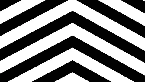 Black and white background. Black and white abstract background. Black-white Stock Footage 217818999
