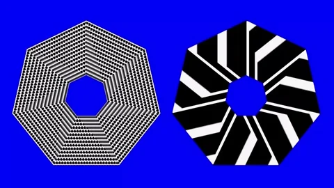 Black and white background. Stock Footage 266495072