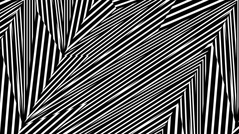 Black and white background. Video stock 314205869