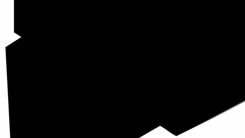 Black and white background. Stock Footage 314208356