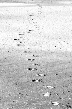 Black and white background 写真素材