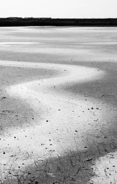 Black and white background Stock Photos
