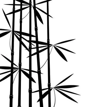 Black and white bamboo Stock Illustration