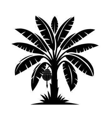 Black and white is this banana tree in illustrator Stock Illustration