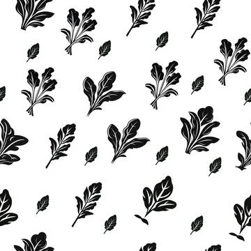 Black and white basil pattern, kitchen herbs basil isolated on a white back.. Stock Illustration