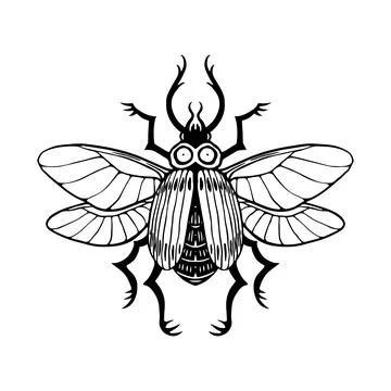 Black and white beetle Illustrazione stock