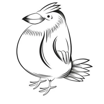 Black and white bird Stock Illustration