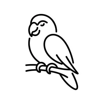 Black and white bird perched on a branch Stock Illustration