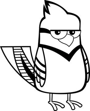 Black And White Blue Jay Bird Cartoon Character Stock Illustration