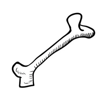 Black and white bone Stock Illustration
