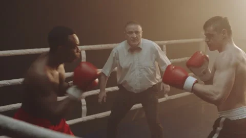 Black and white boxers in a ring Stock Footage 282980654