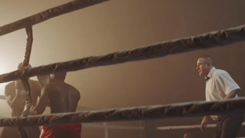 Black and white boxers throwing punches Stock Footage 283294743