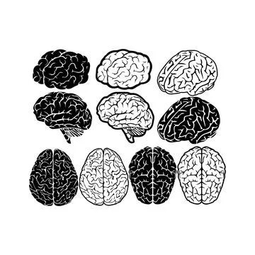Black and White Brain Illustrations Collection. Vector icon. Illustrazione stock