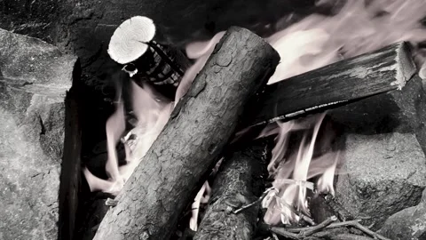 Black and white burning fire, wood coal closeup in the fireplace. Shot 스톡 동영상 134691641