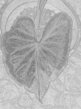 Black and white caladium leaf closeup, with an abstract vertical pencil. Stock Illustration