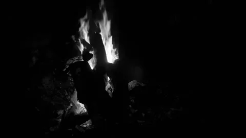 Black and White Campfire at Night – Cinematic Mood Stock Footage 313558274